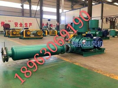 山東瑞拓鼓風(fēng)機(jī)RTSR系列羅茨鼓風(fēng)機(jī)
