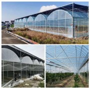 河北新野溫室