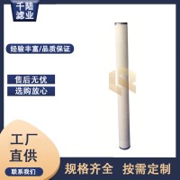 千陸 PCHG-372-VC替代派瑞天然氣聚結(jié)濾芯