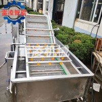 果蔬氣泡清洗機(jī) 紅薯土豆清洗設(shè)備 大姜清洗機(jī)生產(chǎn)廠(chǎng)家